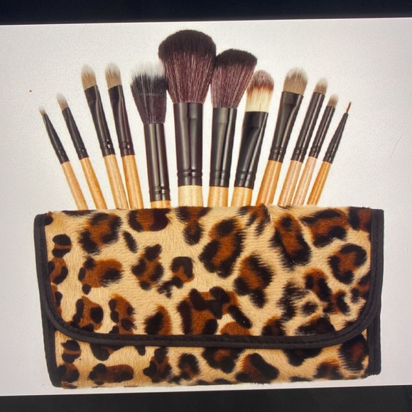 Professional Cosmetic Brush kit w/Leopard case- 12 brushes but missing one brush - Picture 1 of 14